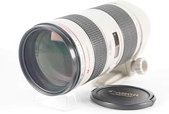 Amazon.co.jp: Canon 望遠ズームレンズ EF70-200mm F2.8L USM